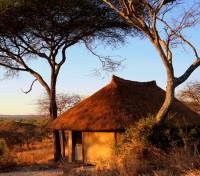 Little Olivers Tented Camp